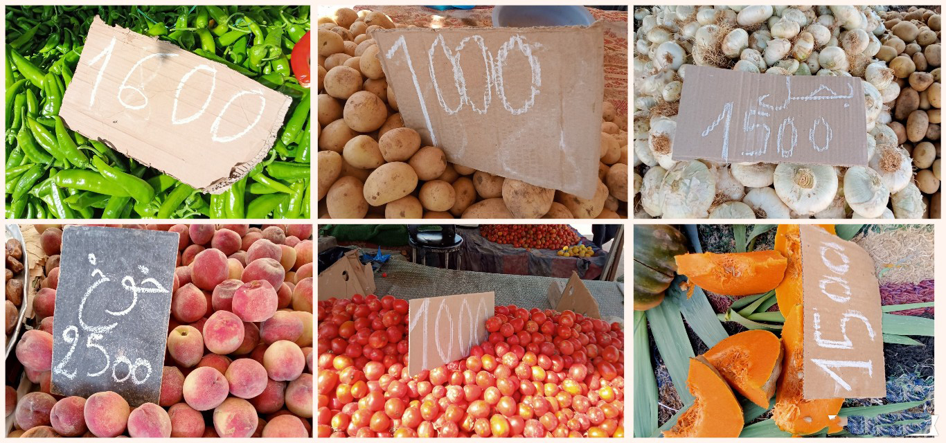 القيروان..تواصل انخفاض أسعار الخضر ومؤشرات إيجابية لمزيد التراجع